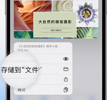 江达apple维修中心分享iPhone文件应用中存储和找到下载文件