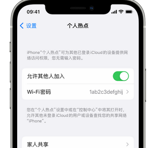 江达apple服务站点分享iPhone上个人热点丢失了怎么办 