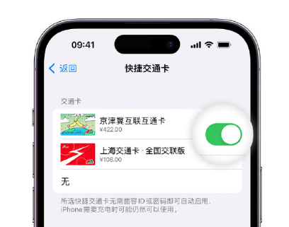 江达apple维修点分享iPhone上更换Apple Pay快捷交通卡手绘卡面 