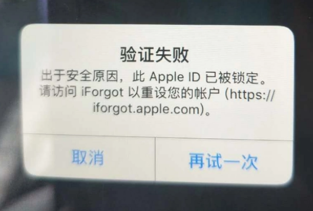 江达iPhone维修分享iPhone上正常登录或使用AppleID怎么办 