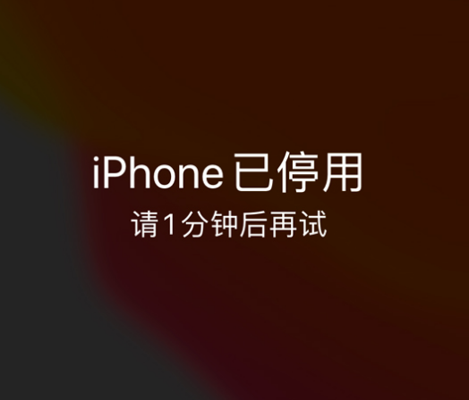 江达苹果手机维修分享:iPhone 显示“不可用”或“已停用”怎么办？还能保留数据吗？ 