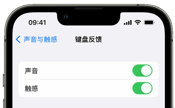 江达苹果手机维修分享iPhone 14触感键盘使用方法 