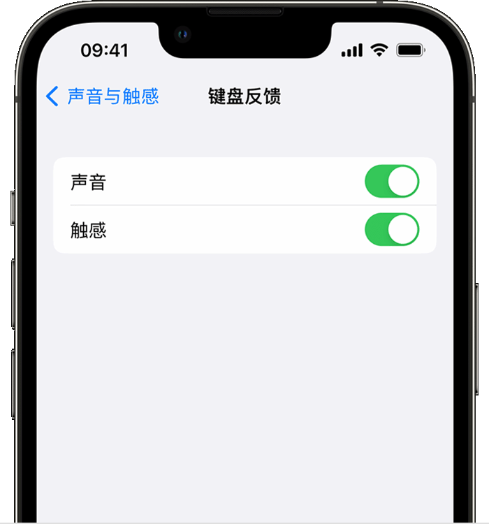 江达苹果14维修店分享如何在 iPhone 14 机型中使用触感键盘 