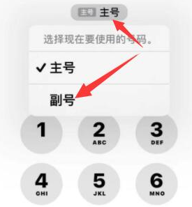 江达苹果14维修店分享iPhone 14 Pro Max使用副卡打电话的方法 