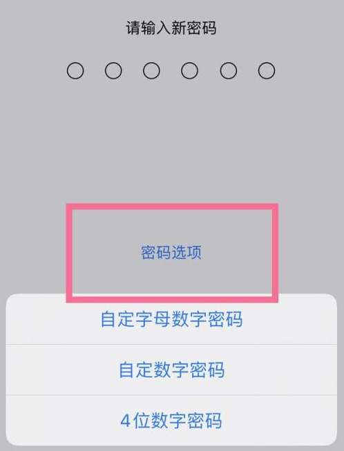 江达苹果14维修分享iPhone 14plus设置密码的方法 