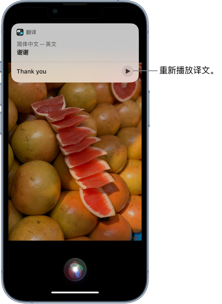 江达苹果14维修分享 iPhone 14 机型中使用 Siri：了解 Siri 能帮你做什么 