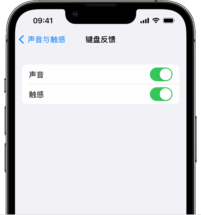 江达苹果14维修分享iPhone 14 系列机型如何开启键盘声音或触感反馈 