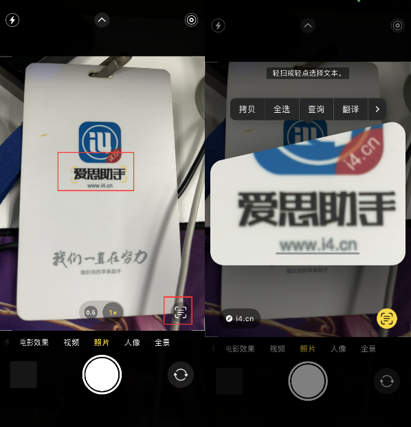 江达苹果手机维修分享升级iOS 16后如何通过相机翻译文本 