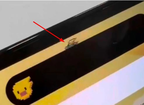 江达苹果14维修分享iPhone 14 Pro Max灵动岛怎么养宠物 