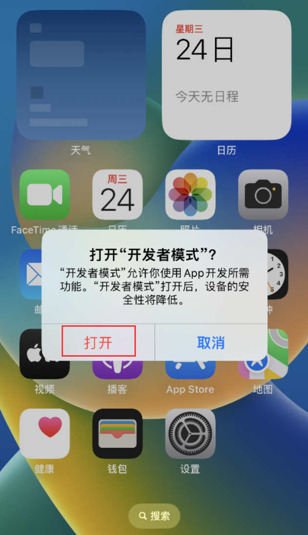 江达苹果手机维修分享如何打开开发者模式 