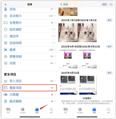 江达苹果手机维修分享iOS 16 中相册重复项目功能使用方法 