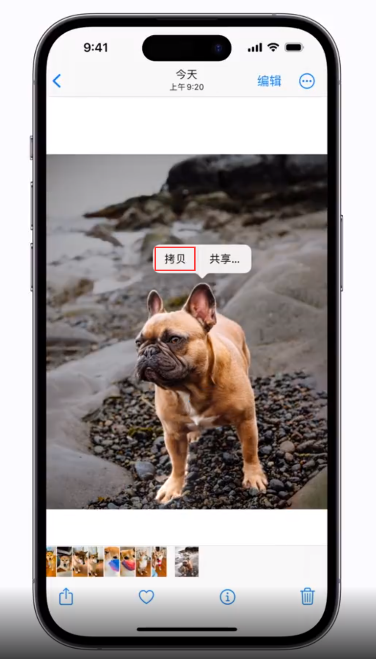 江达苹果手机维修分享 iOS 16 自带一键抠图功能 