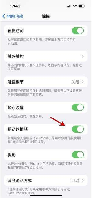 江达苹果手机维修分享iPhone手机如何设置摇一摇删除文字 