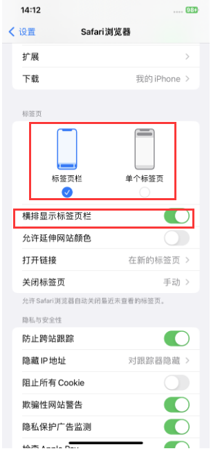 江达苹果手机维修分享Safari浏览器如何切换标签栏位置 