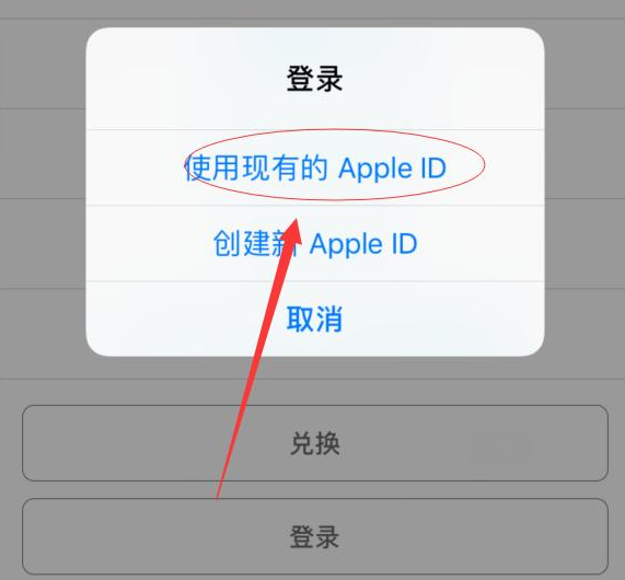 江达苹果手机维修分享两台iPhone设备可以同时登录一个Apple ID吗 