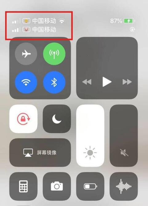 江达苹果手机维修分享为 iPhone 12 双卡设置标签 