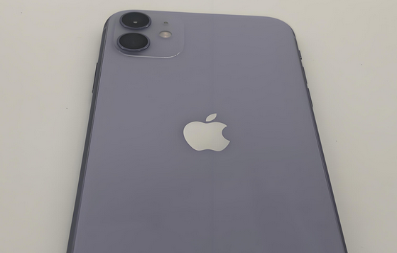 江达苹果11系统维修分享iPhone11手机系统崩溃无法开机如何解决 